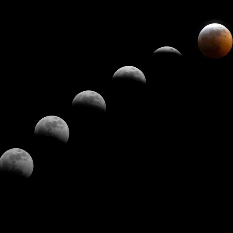 Hand-drawn botanical moon phases